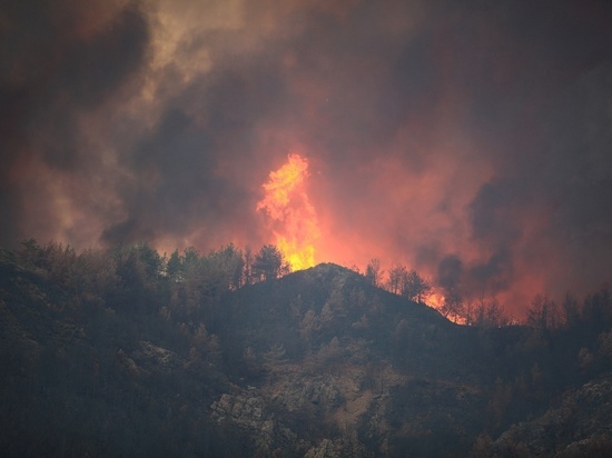 Почти 8 тысяч га леса сгорело в Забайкалье с начала пожароопасного периода
