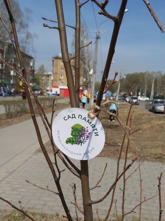Соцсети: один из жилых районов Новокузнецка теперь украшает «Сад памяти»