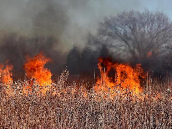 Больше 1500 пожаров травы ликвидировали забайкальские пожарные в 2022 году