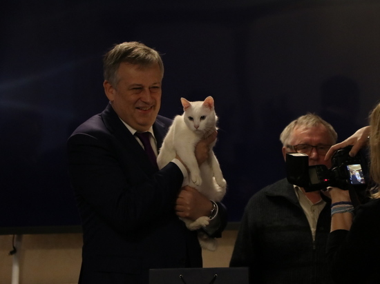 Крайне негативно оцениваю инициативы: Дрозденко высказался о разрыве побратимских отношений