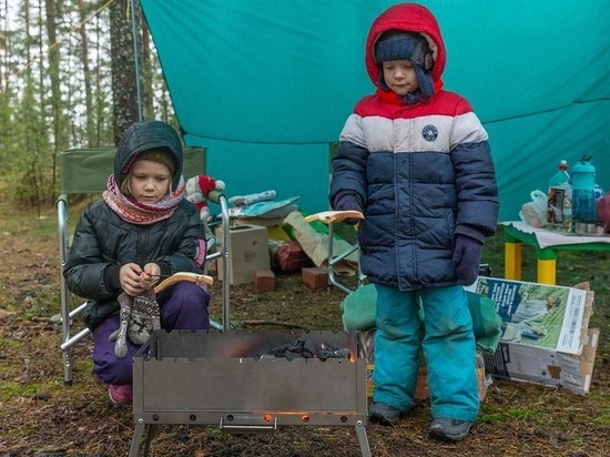 «Шашлык для богатых?»: на сколько в Псковской области подскочили цены на наборы для пикника