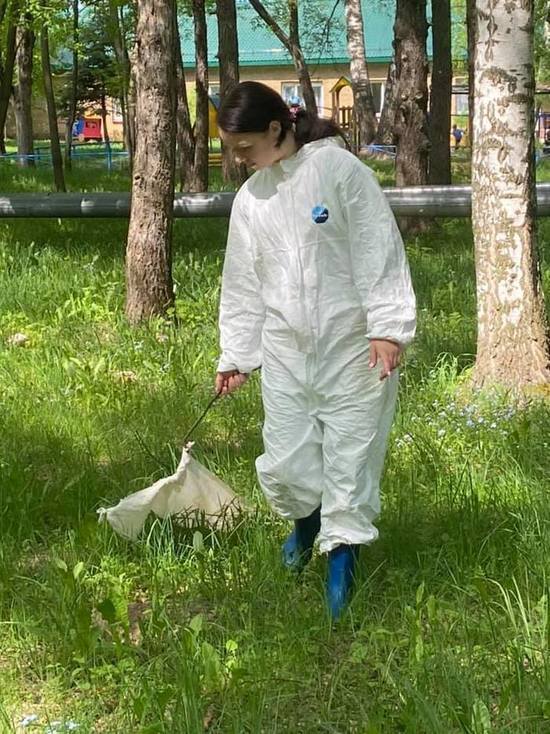 В Нижегородской области обнаружены клещи - носители опасных болезней
