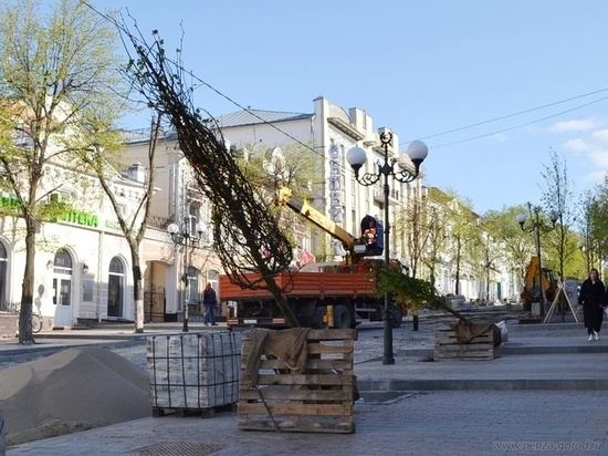 В Пензе озеленят улицу Московскую