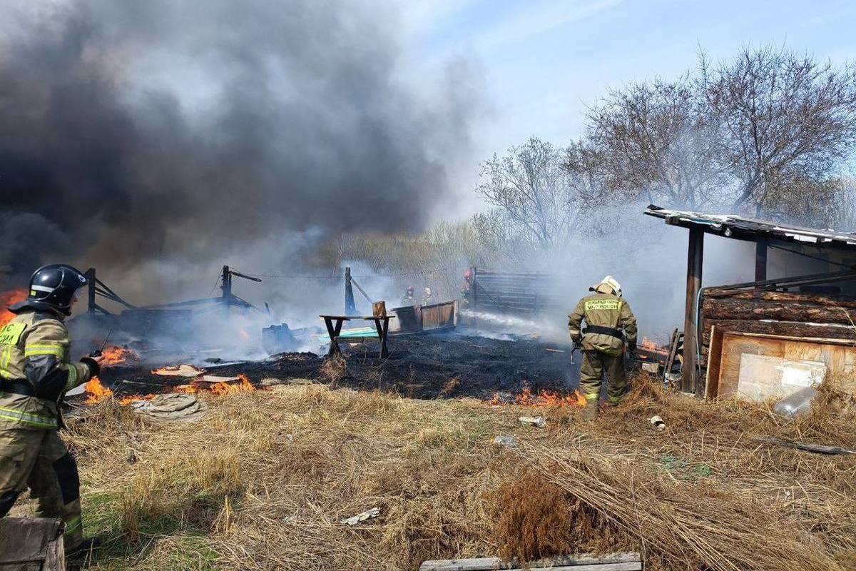 Пожар в улан удэ. Пожар на Богородском острове Улан Удэ. Пожар фото. Сегодняшний пожар. Пожары в России.