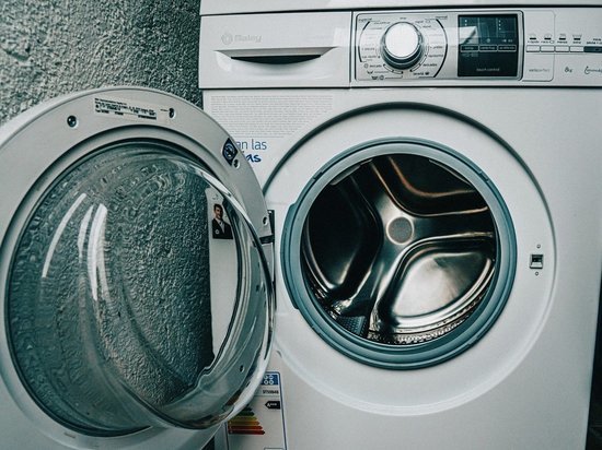 В Тульской области двое мужчин украли у знакомой стиральную машину