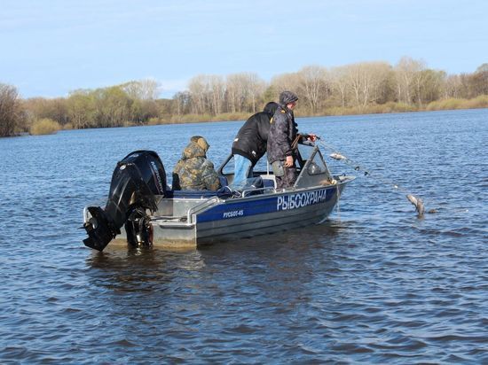 В Нижегородской области из браконьерских сетей спасено более 400 особей рыбы