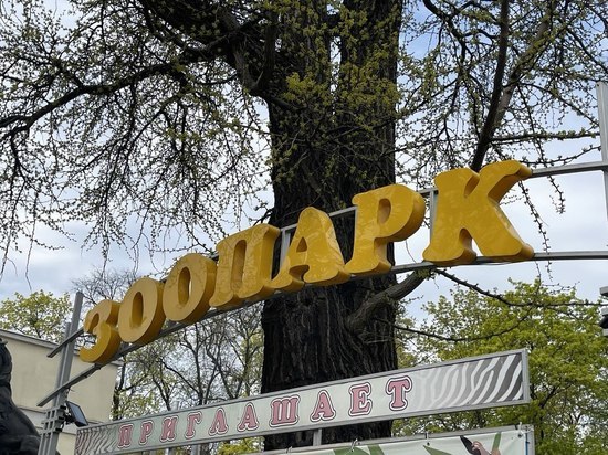 Калининградский зоопарк снова закрыли из-за сообщения о минировании