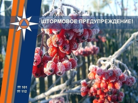 В Курской области вновь объявлено штормовое предупреждение из-за заморозков