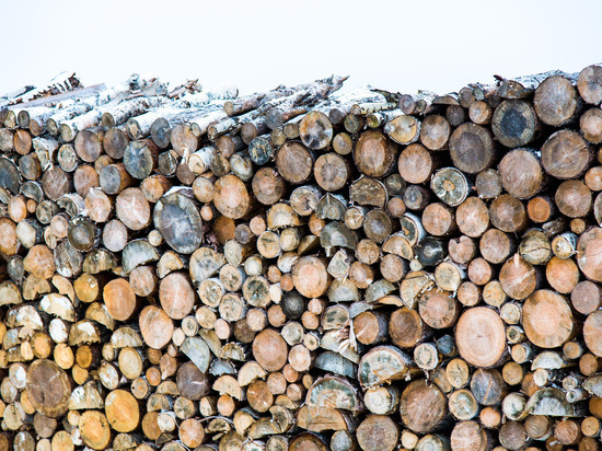 Оленеводы Ненецкого округа запросили субсидию на доставку дров