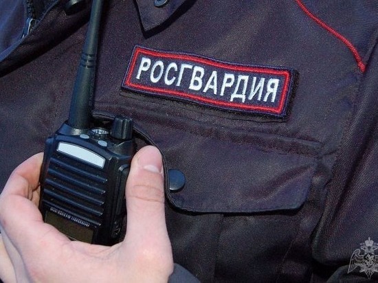 Вернувшимся со спецоперации мурманским росгвардейцам вручили награды