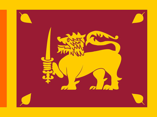 Президент Шри-Ланки объявил чрезвычайное положение из-за протестов