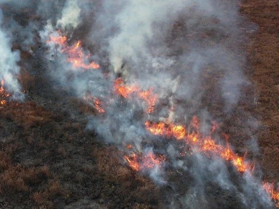 На Сахалине за сутки произошло 15 возгораний сухой травы