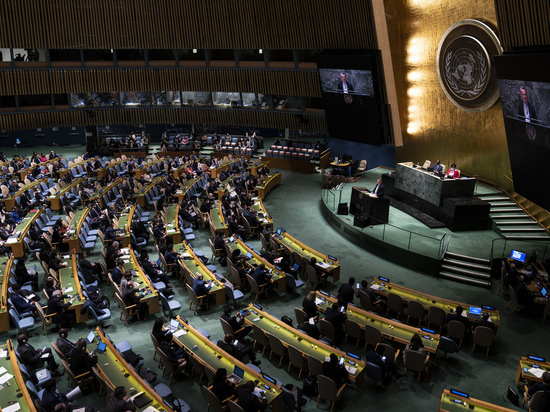 Доказательства преступлений «Азова» представили на заседании СБ ООН