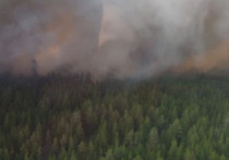 В Ключевском районе спасатели тушат сильный лесной пожар