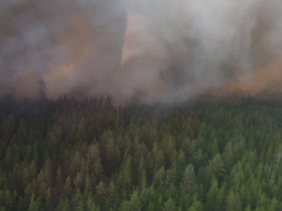 Рядом с селом в Ключевском районе бушует лесной пожар