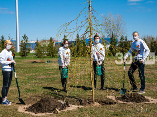 98 тысяч деревьев посадили активисты в начала двухмесячника в Татарстане