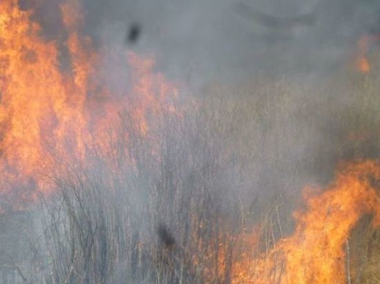 В Омской области за сутки случилось более 200 пожаров