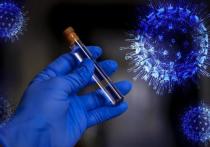 В Забайкалье за прошедшие сутки выявлено 27 новых случаев заражения коронавирусом