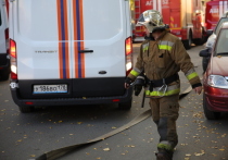 Во Фрунзенском районе Петербурга произошел пожар в однокомнатной квартире. О происшествии сообщили в пресс-службе ГУ МЧС по Петербургу.