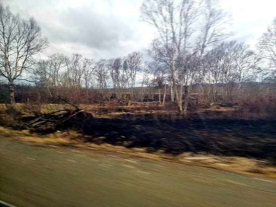 На Сахалине выгорело 30 тыс. квадратных метров травы