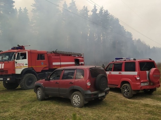 В Ярославской области из-за пала травы едва не сгорела целая деревня