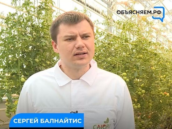 В тепличном комплексе «Саюри» Якутска с начала года собрали 850 тонн овощей