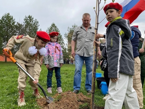 В Костроме в «Саду памяти» посадили 25 рябинок