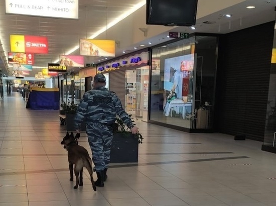 В Рязани полицейские с собаками проверяют транспорт, парки и ТРЦ