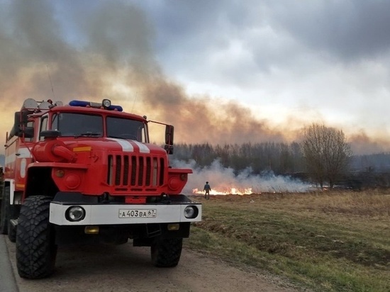 В Рославльском районе ночью ликвидировали лесной пожар