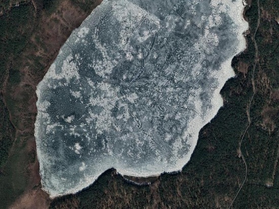 Тысячи рыб умерли в Чусовском озере в Свердловской области