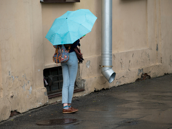 Из-за сильного ветра в Петербурге объявили «желтый» уровень погодной опасности
