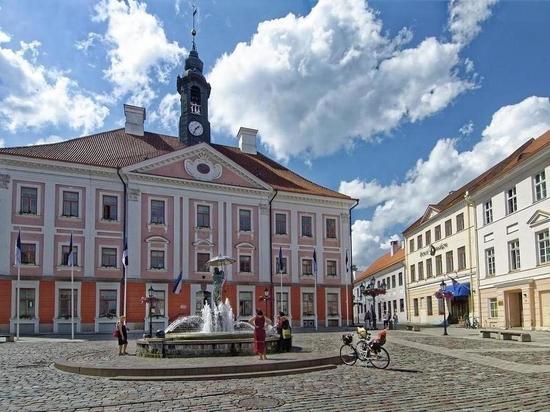 Осквернивший памятник советским воинам в Тарту сдался властям