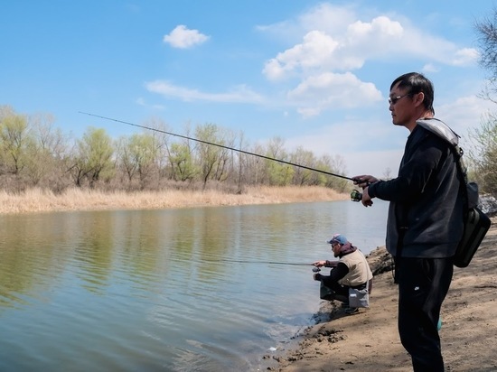 В Астраханской области полиция изъяла у браконьеров более 2 тонн рыбы