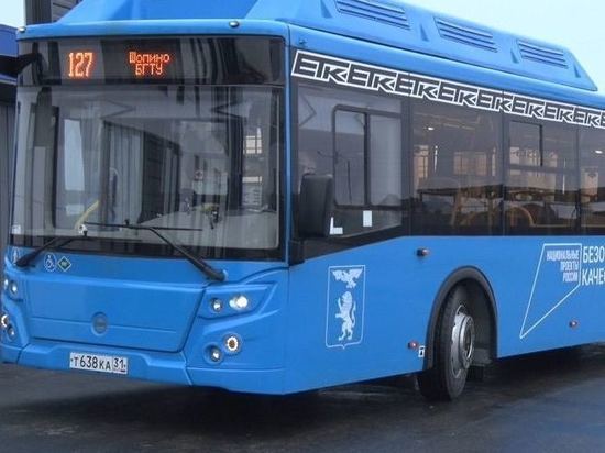 В белгородском транспорте изменятся правила оплаты проезда