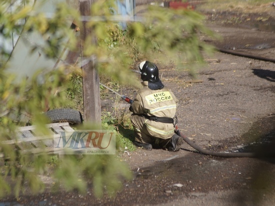 В Красноярском крае при пожарах пострадали более 1200 человек
