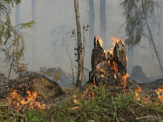 «До трагедии недалеко»: в Бурятии опасаются повторения ситуации с пожарами в Сибири