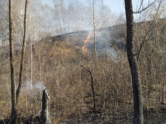 4 лесных пожара потушено за сутки в Томской области