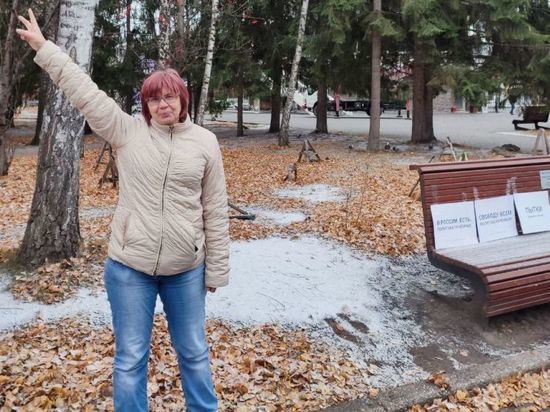 В Новосибирске депутата горсовета Каверзину подозревают в дискредитации военных