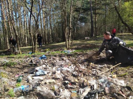 В Ярославской области стартовала акция «Очистим лес от мусора»