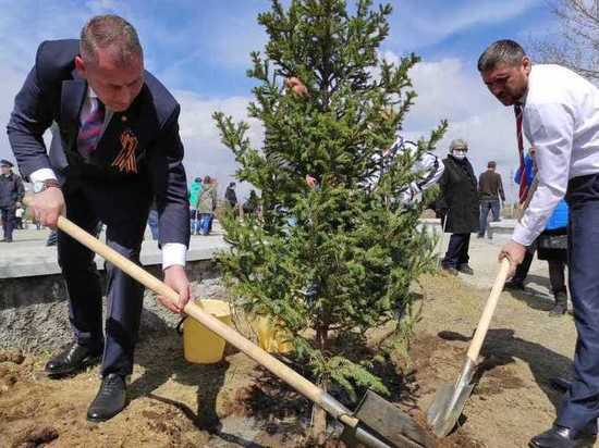 Высадку «Сада Победы» отменили из-за погоды на Мемориале в Чите