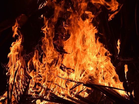 «Нашлись уроды»: жители сгоревших сибирских поселков объяснили разрушительные пожары