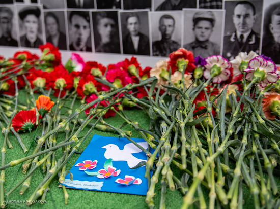 О том, как День Победы отметили жители Петрозаводска