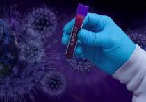 За прошлые сутки в Забайкалье выявлено 15 случаев заболевания коронавирусом, зарегистрирован один летальный случай