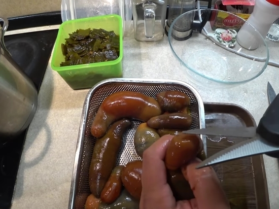 «Что-то близкое к грибному»: сахалинский блогер приготовил морских червей