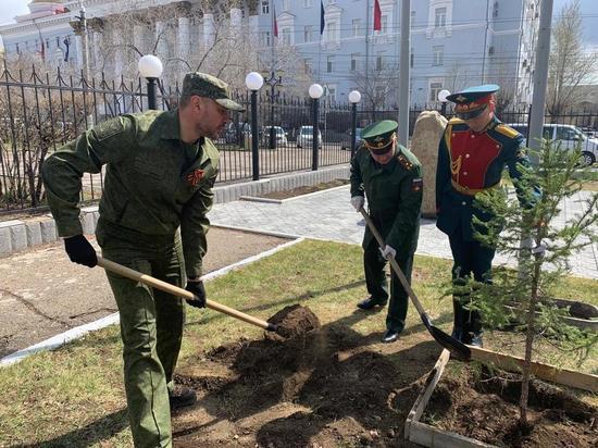 Осипов посадил дерево на «Аллее славы воинов ВВО» у штаба армии в Чите