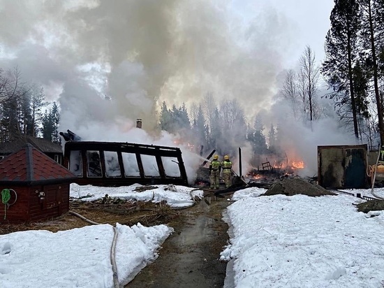 В Мурманской области огонь уничтожил сельскохозяйственные постройки