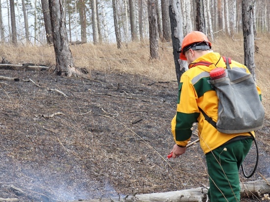 31 пожар удалось ликвидировать в лесах Красноярского края за минувшие сутки