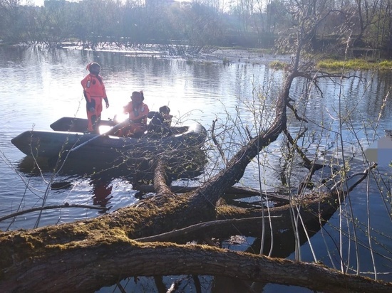 Тело неизвестного заметили в реке Ижора недалеко от Коммунар
