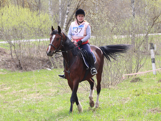 В Тульской области впервые прошли соревнования в дисциплине «конные пробеги»