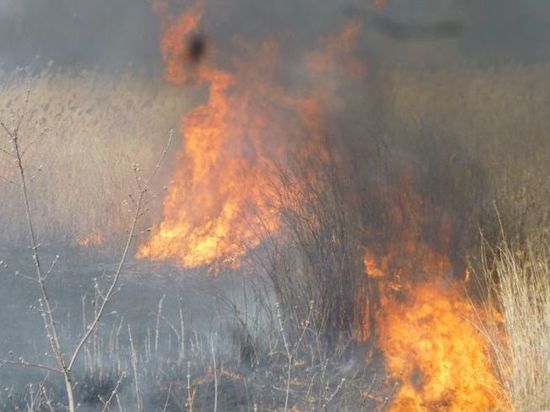 Теперь уже трава: на окраине Советского округа Омска снова произошёл пожар